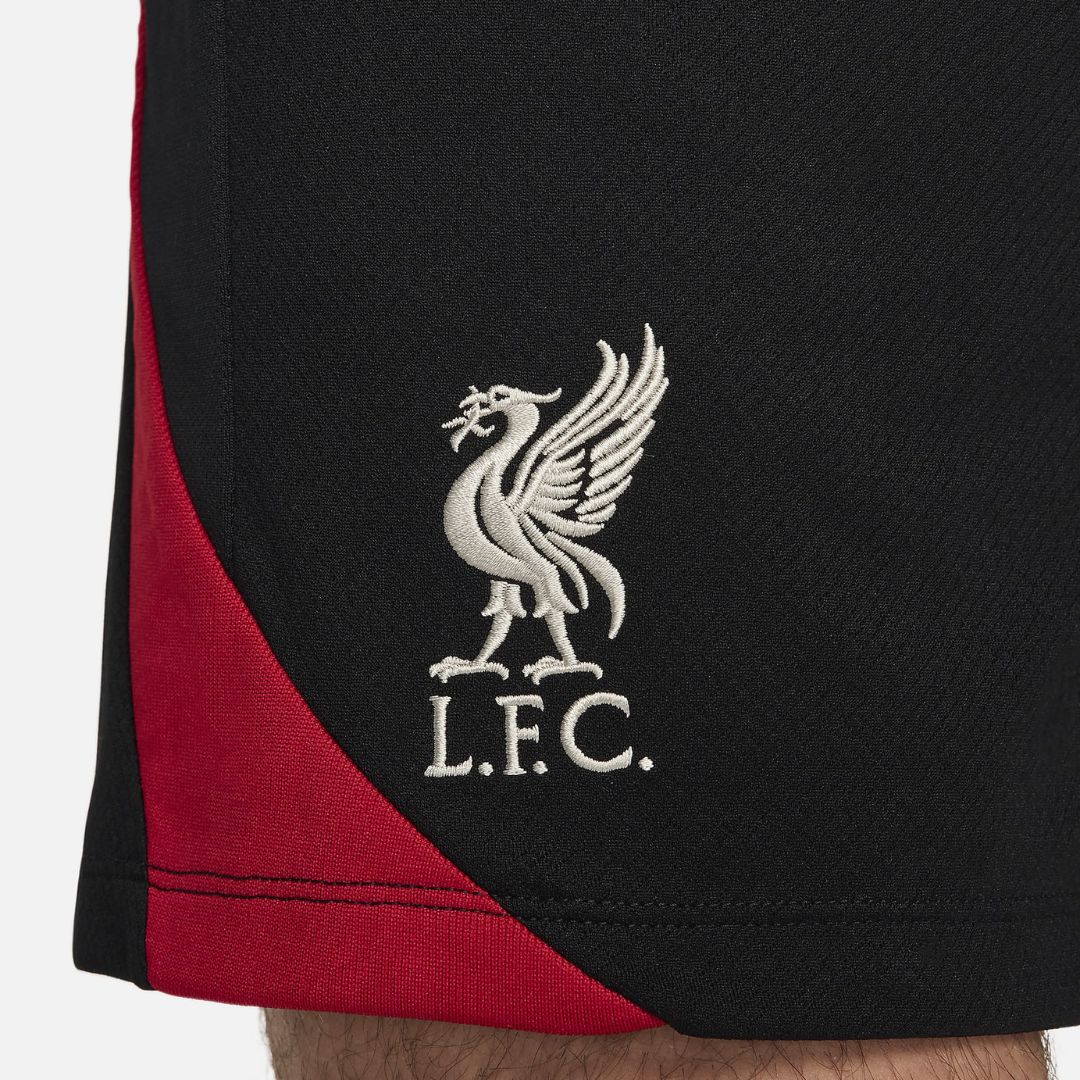 Liverpool 2024/25 Training Shirt and Shorts Kit # 2