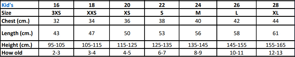 Arsenal Gunners 2024/25 Kids Away Jersey Shirt