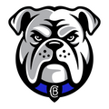 Canterbury Bankstown Bulldogs