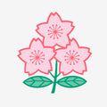 Japan Rugby