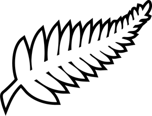 New Zealand Football