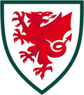 Wales Soccer