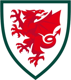 Wales Soccer