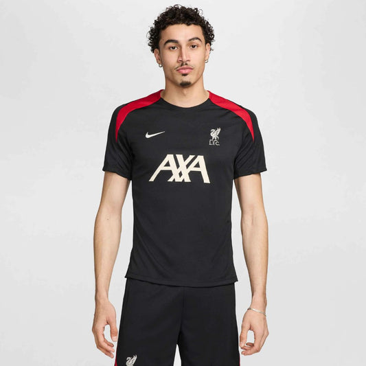 Liverpool 2024/25 Training Shirt and Shorts Kit