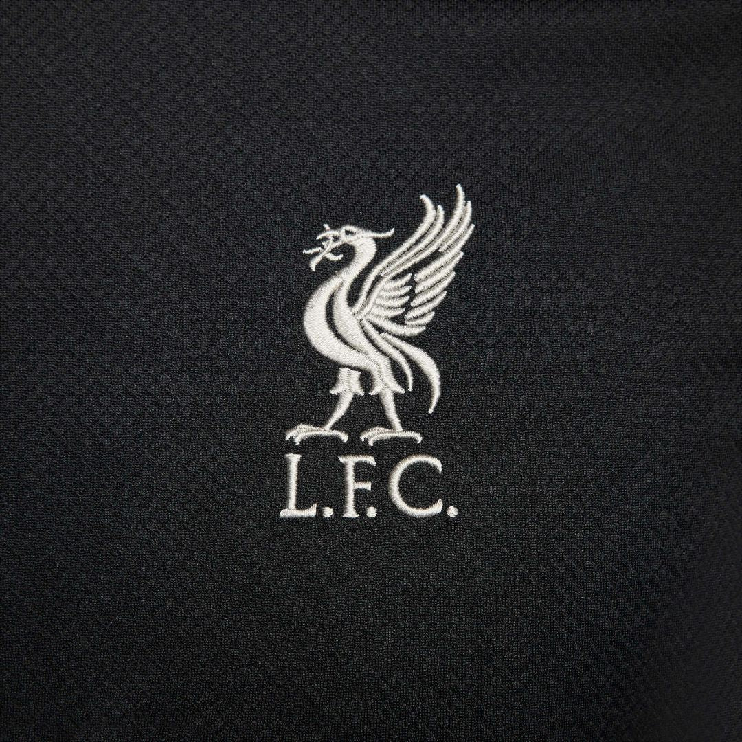 Liverpool 2024/25 Training Shirt and Shorts Kit