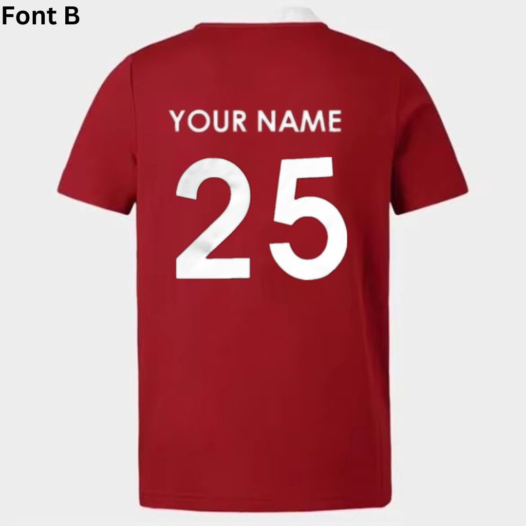 British & Irish Lions 2025 Polo Shirt