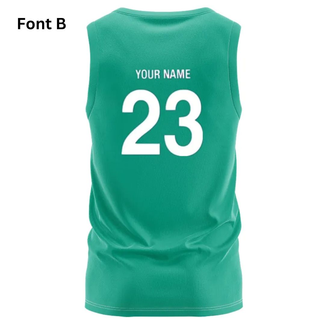 Ireland Rugby 2023/24 Home Training Singlet