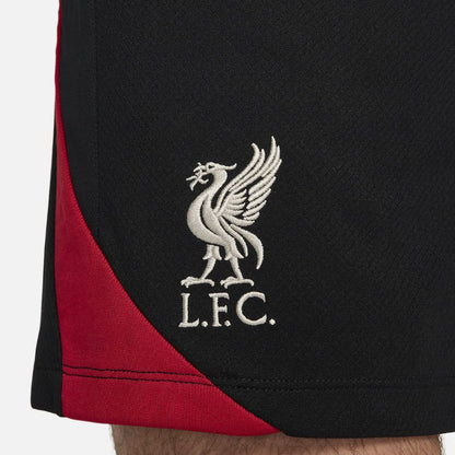 Liverpool 2024/25 Training Shirt and Shorts Kit # 2