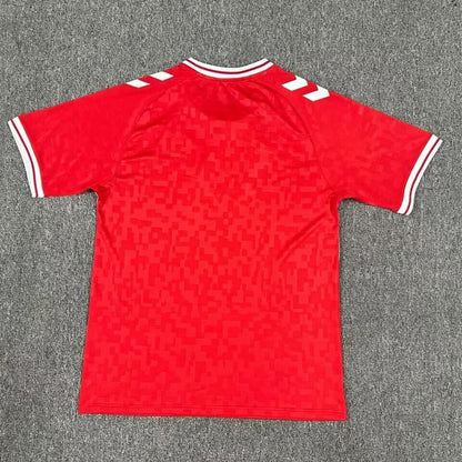 Denmark Euro 2024 Home Jersey Shirt