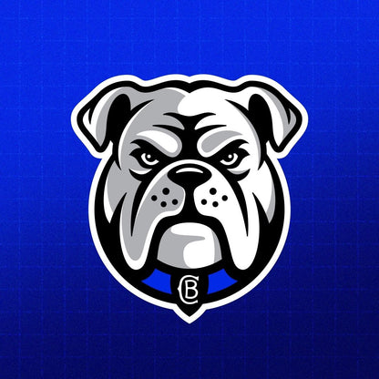 Canterbury Bankstown Bulldogs 2026 Women's Home Shirt