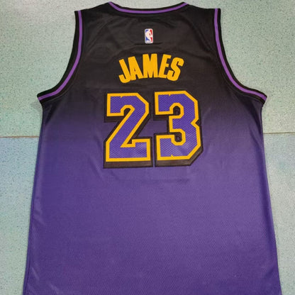 Los Angeles Lakers 2024/25 City Edition LeBron James #23 Jersey