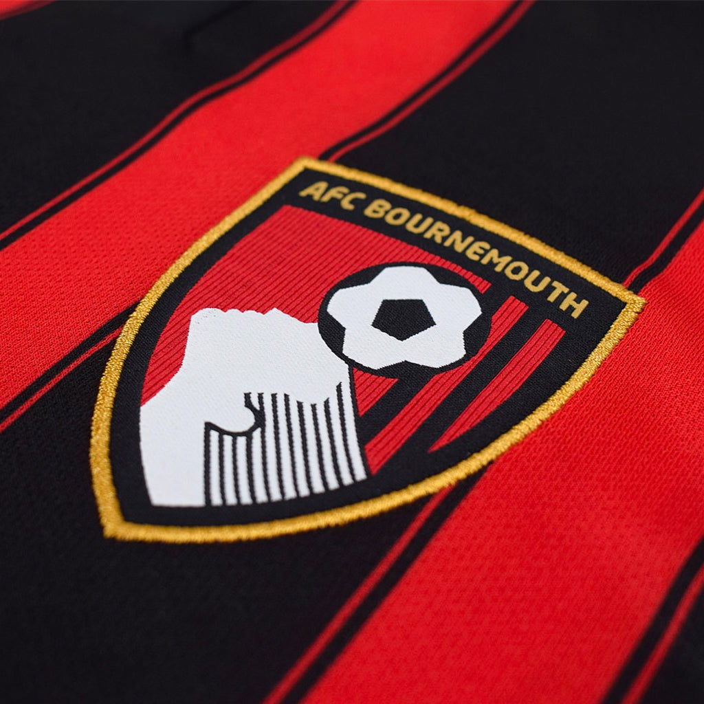Bournemouth 2024/25 Home Jersey Shirt (Non Sponsored)