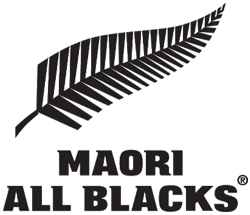 New Zealand 2025 Māori All Blacks Shirt