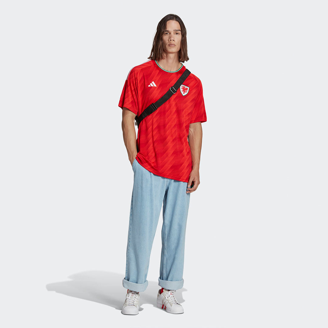 Wales Soccer 2022 World Cup Home Jersey Shirt
