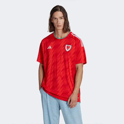 Wales Soccer 2022 World Cup Home Jersey Shirt
