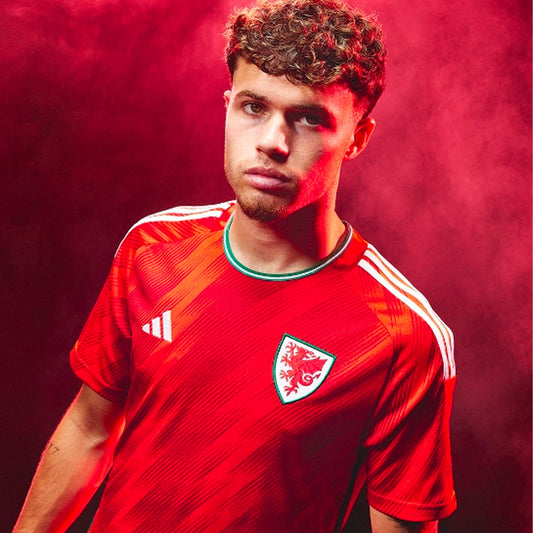 Wales Soccer 2022 World Cup Home Jersey Shirt